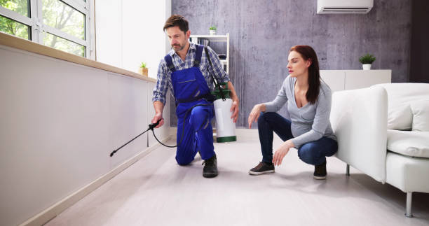 Best Pest Control for Multi-Family Homes  in Vail, AZ